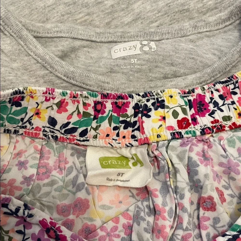 2015 Crazy 8 Floral Owl Outfit, Size 5T